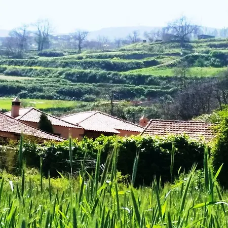 Rural Las Llanadas Los Realejos Exterior photo