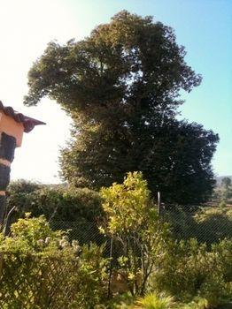 Holiday home Rural Llanadas Los Realejos